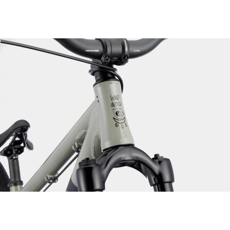Bicicleta CANNONDALE Dave GRIS Única