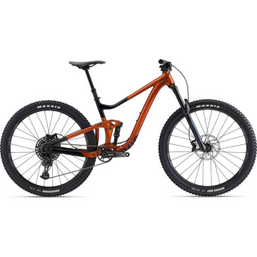 Bicicleta GIANT Trance X 29 2