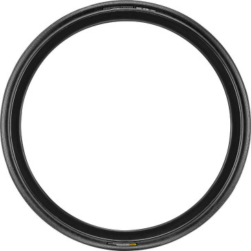 GIANT Gavia Fondo 1 Tire...