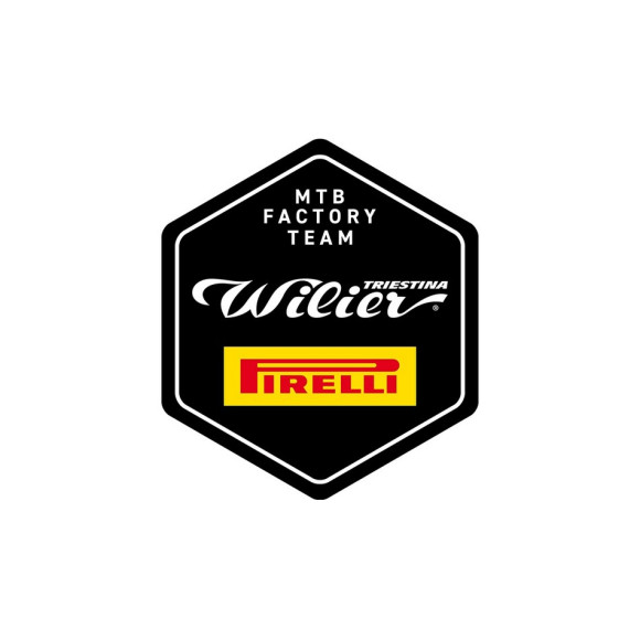 Bicicleta WILIER 503X PRO GRIS S
