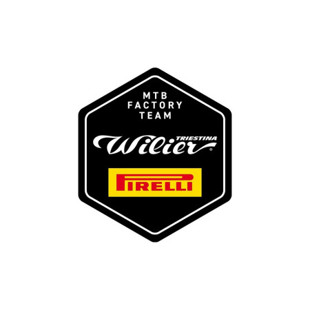Bicicleta WILIER 503X PRO GRIS S