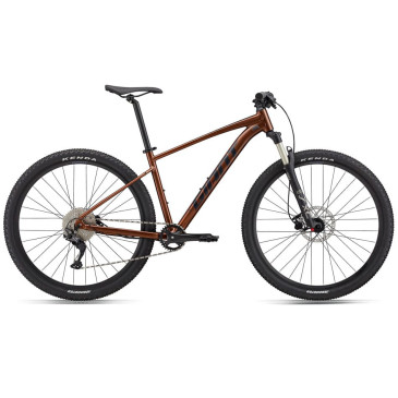 Bicicleta GIANT Talon 29 1