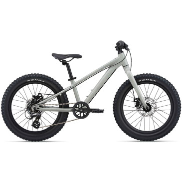 Bicicleta GIANT STP 20
