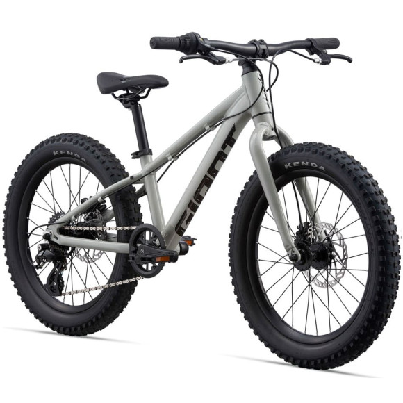 Bicicleta GIANT STP 20 GRIS Única