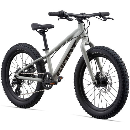 Bicicleta GIANT STP 20 GRIS Única