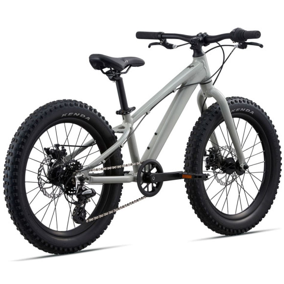 Bicicleta GIANT STP 20 GRIS Única