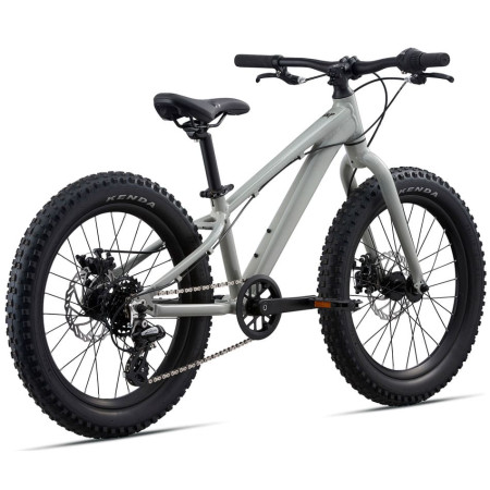 Bicicleta GIANT STP 20 GRIS Única