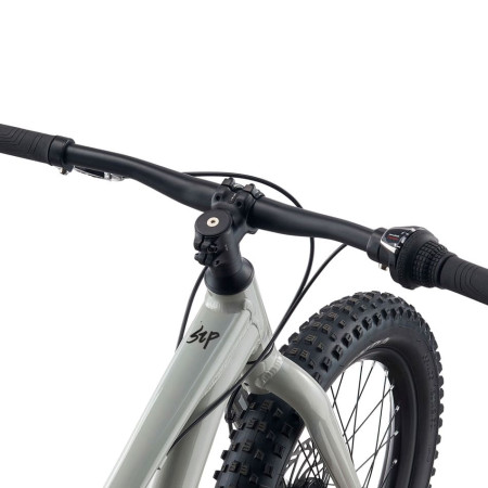 Bicicleta GIANT STP 20 GRIS Única