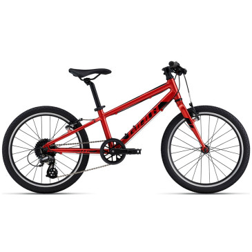 Bicicleta GIANT ARX 20