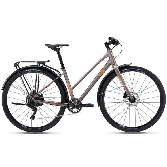 Bicicleta LIV Alight 2 City Disc-1X 2022 PLATA S
