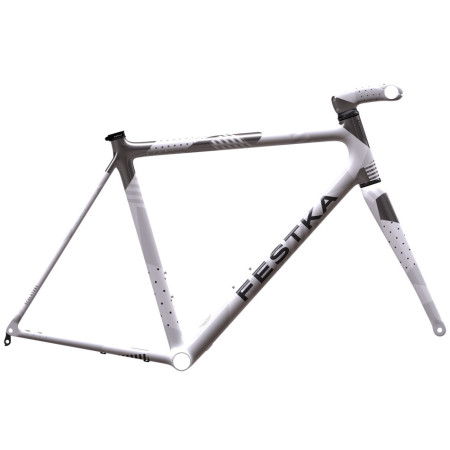 Cuadro FESTKA Scalatore Signature Disc Framekit 2023 