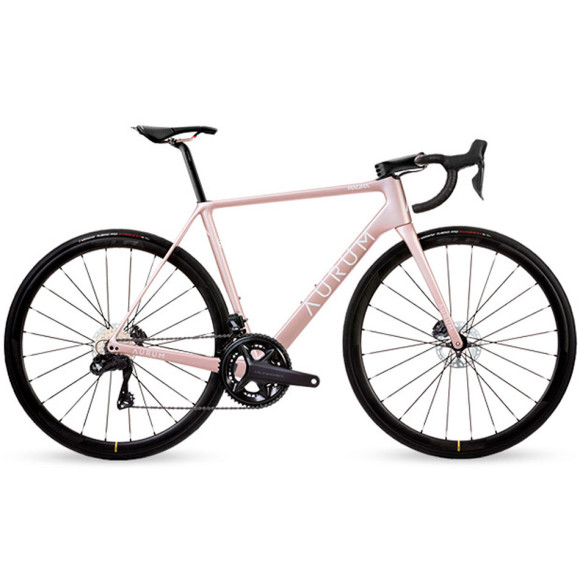 Vélo AURUM Magma Shimano Ultegra Ritchey Mavic SLR32 2023 ROSE 48