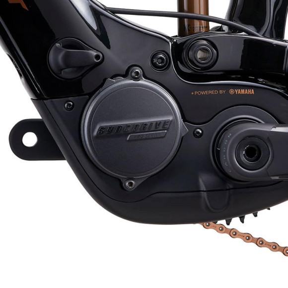 Bicicleta GIANT Trance X Advanced E+ Elite 0 2023 MALVA S