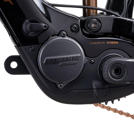 Bicicleta GIANT Trance X Advanced E+ Elite 0 2023 MALVA S
