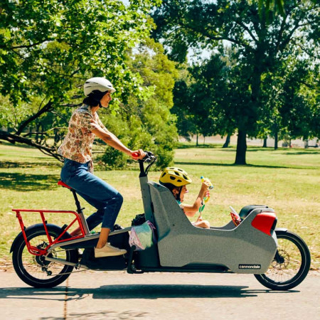 Bicicleta CANNONDALE Wonderwagen Neo 1 GRIS Única