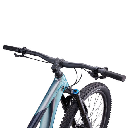 Bicicleta GIANT Reign 1 2023 PLATA L