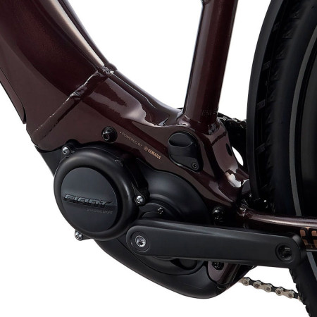 Bicicleta LIV Amiti-E+ 2 2022 GRANATE S