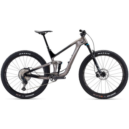 Bicicleta GIANT Trance Advanced Pro 29 2 PLATA M
