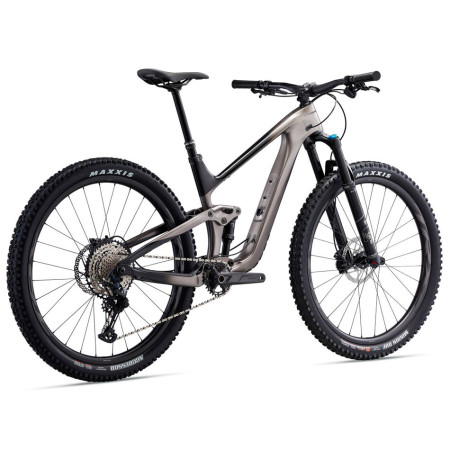 Bicicleta GIANT Trance Advanced Pro 29 2 PLATA M