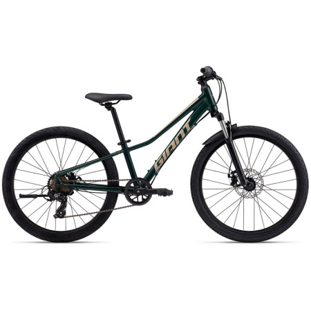 Bicicleta GIANT Talon 24 Disc 2024 VERDE Única