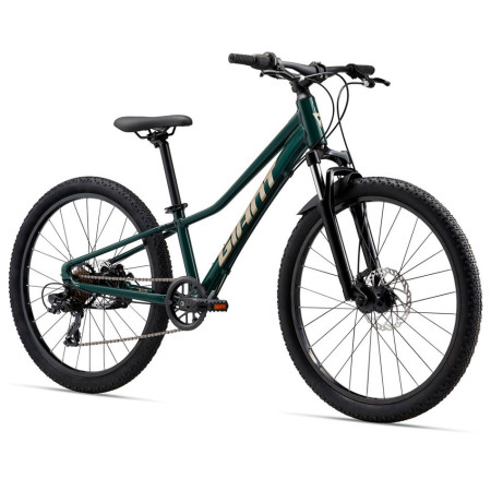 Bicicleta GIANT Talon 24 Disc 2024 VERDE Única