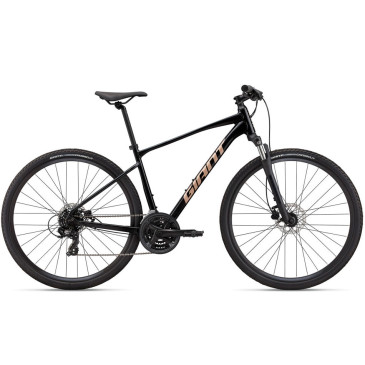 Bicicleta GIANT Roam 4 Disc