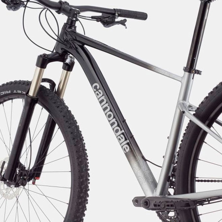 Bicicleta CANNONDALE Trail SL 4 Gris 2023 GRIS M